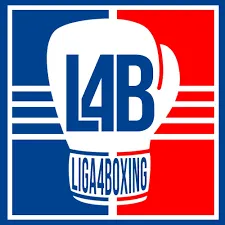 VISORNETS Patrocinadores oficiales de la LIGA4BOXING Federación Española de Bo